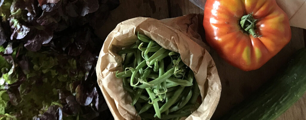 fresh groceries